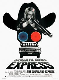Jaquette du film Sugarland express