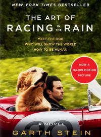 Jaquette du film The Art of Racing in the Rain