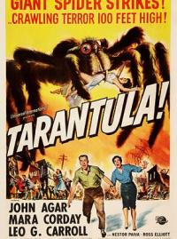 Tarantula