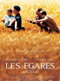 Jaquette du film Les Égarés