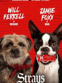 Jaquette du film Backstreet Dogs