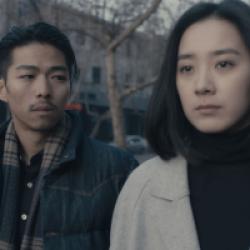 An Elephant Sitting Still