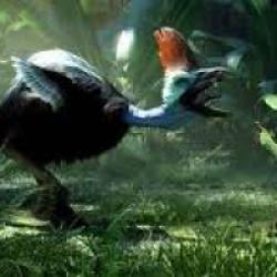 Tarzan : Reinhard Klooss