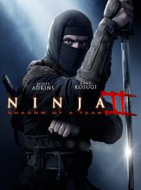 Ninja 2 : Shadow of a Tear