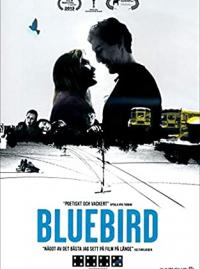 Bluebird