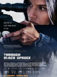 Through Black Spruce