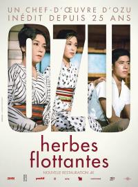 Jaquette du film Herbes flottantes