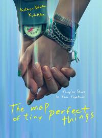 The Map of Tiny Perfect Things