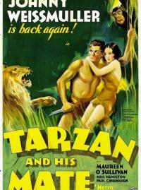 Tarzan et sa compagne