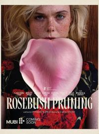 Elle Fanning
