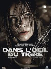 Dans l'œil du tigre
