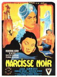 Jaquette du film Le Narcisse noir
