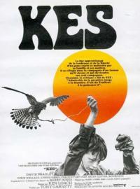 Jaquette du film Kes