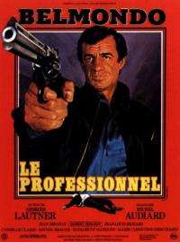 Le professionnel