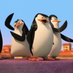 Les Pingouins de Madagascar