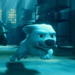 Volt, star malgré lui