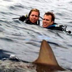 Open water en eaux profondes