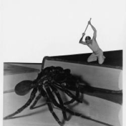 L'Homme qui rétrécit