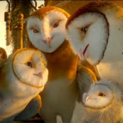 Le Royaume de Ga'Hoole - la légende des gardiens