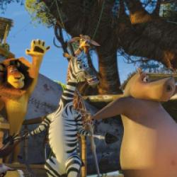 Madagascar 2