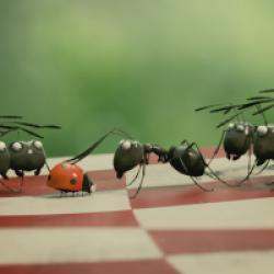 Minuscule La Vallée des fourmis perdues