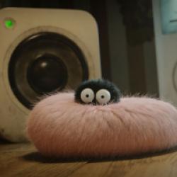 Minuscule 2 : Les Mandibules du bout du monde