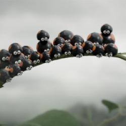 Minuscule 2 : Les Mandibules du bout du monde