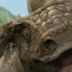 Dinosaure