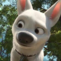 Volt, star malgré lui