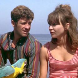 Pierrot le Fou