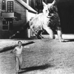 L'Homme qui rétrécit