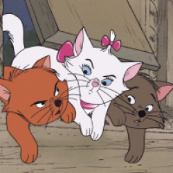 Les Aristochats
