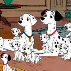 Les 101 Dalmatiens