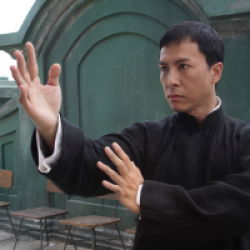 Ip man la légende du grand maître