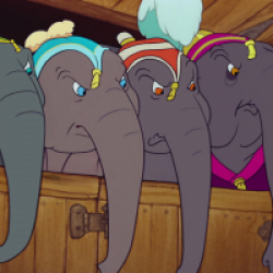 Dumbo
