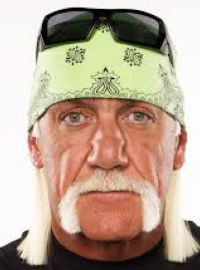 Hulk Hogan